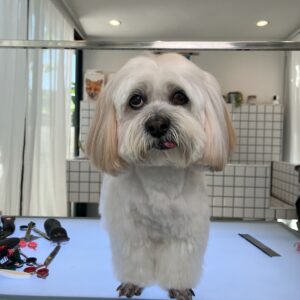 Facial Hair Trim